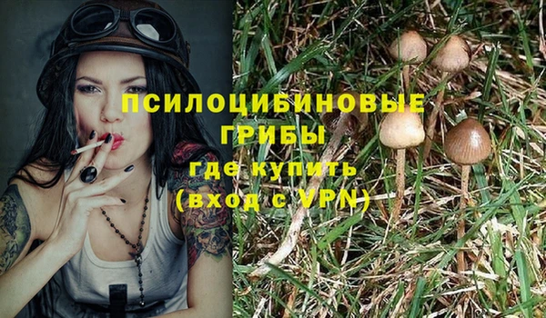 ECSTASY Алзамай
